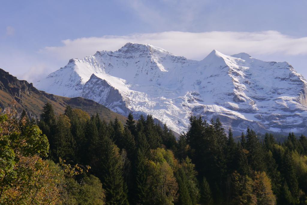 Chalet Acheregg 벤겐 외부 사진