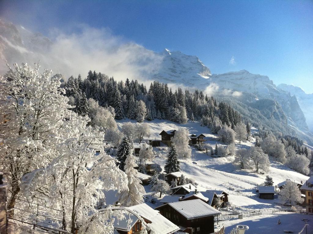 Chalet Acheregg 벤겐 외부 사진